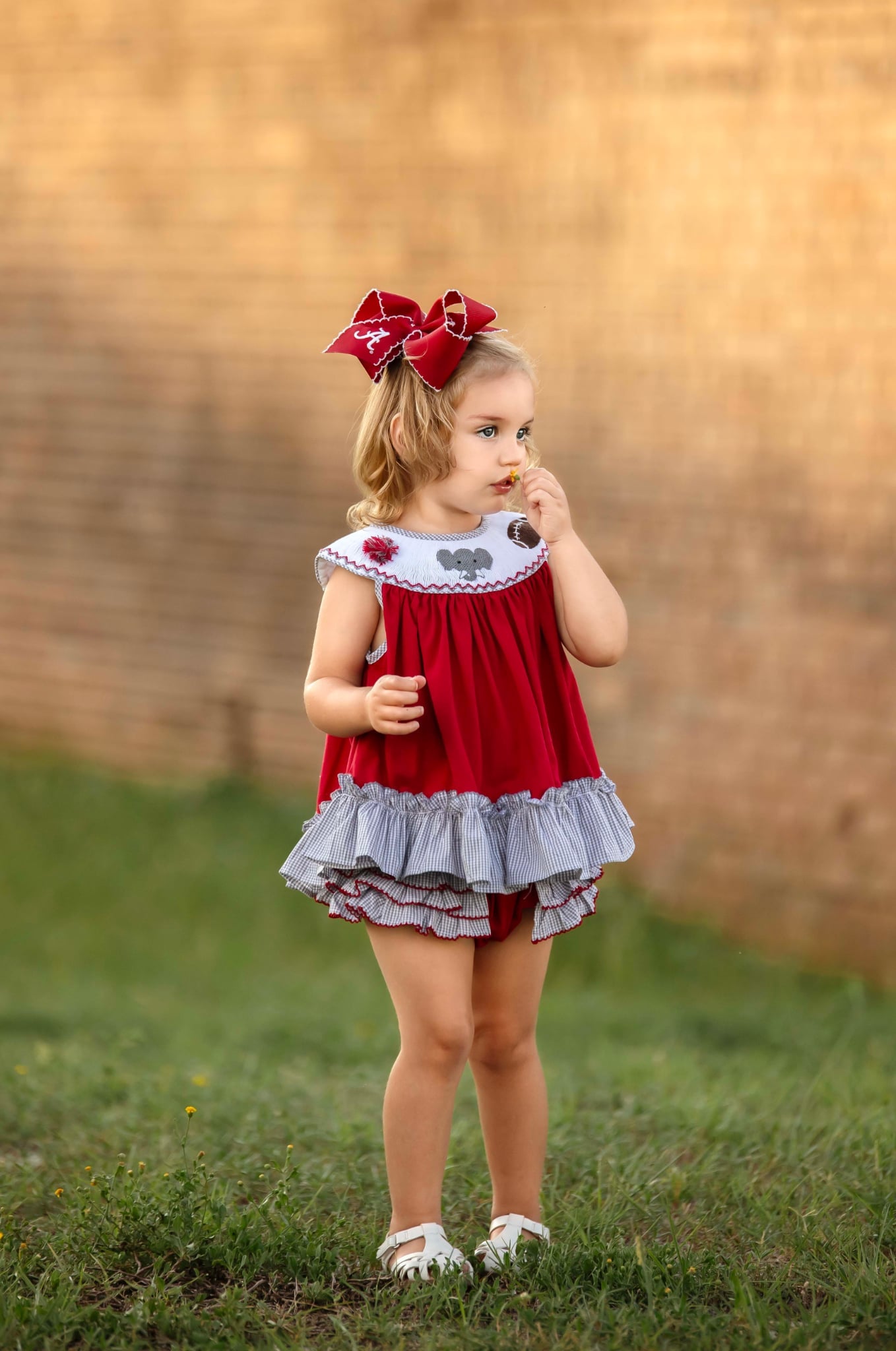 Smocked Elephant Football Diaper Set