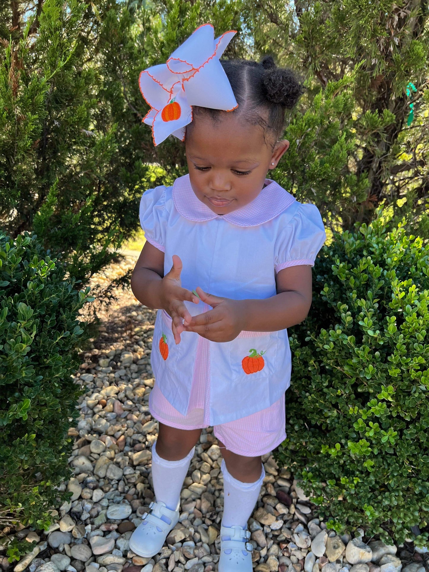 Girl's Pink Gingham Pumpkin Short Set