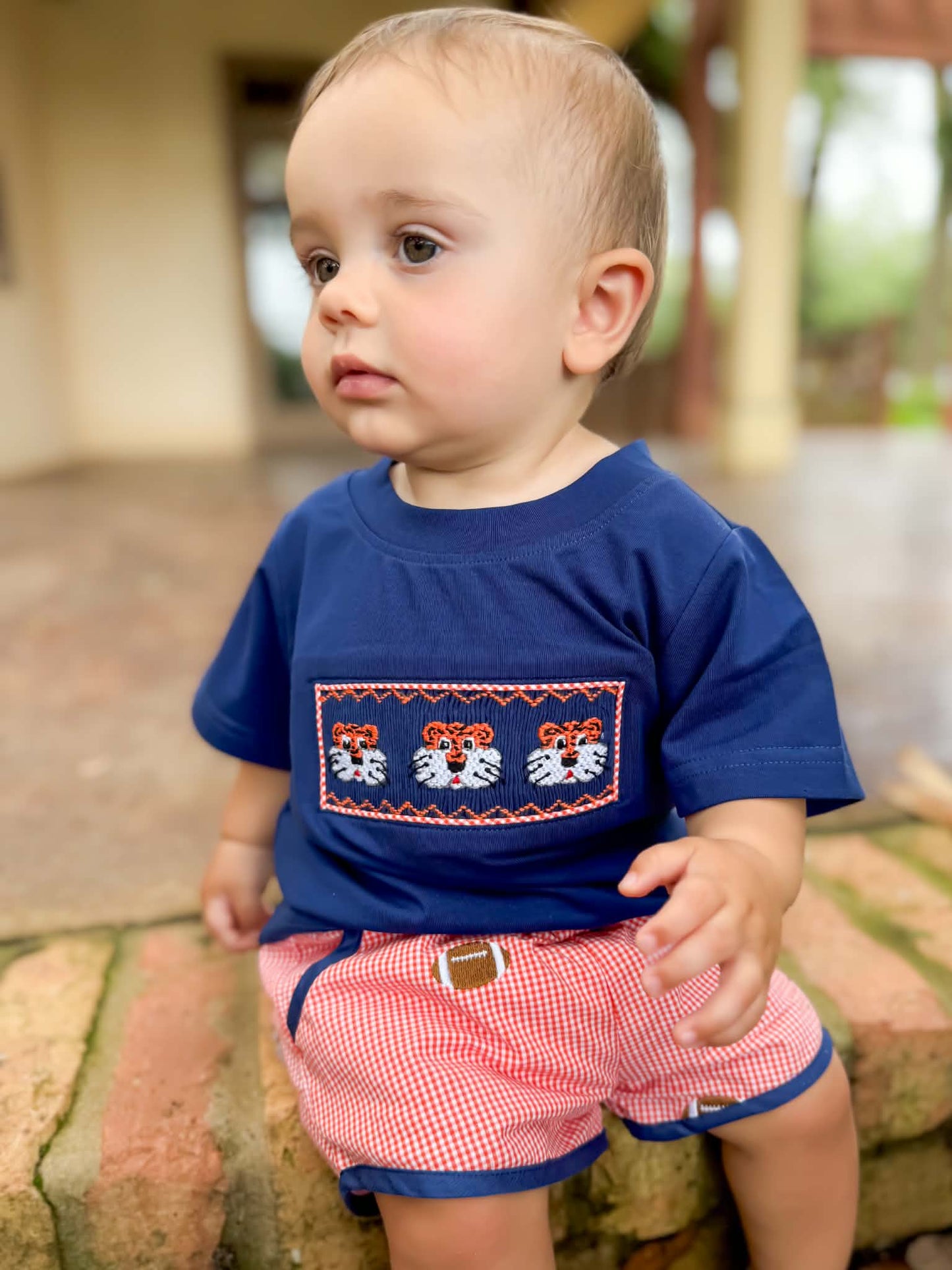 Boys Smocked Tiger Short Set