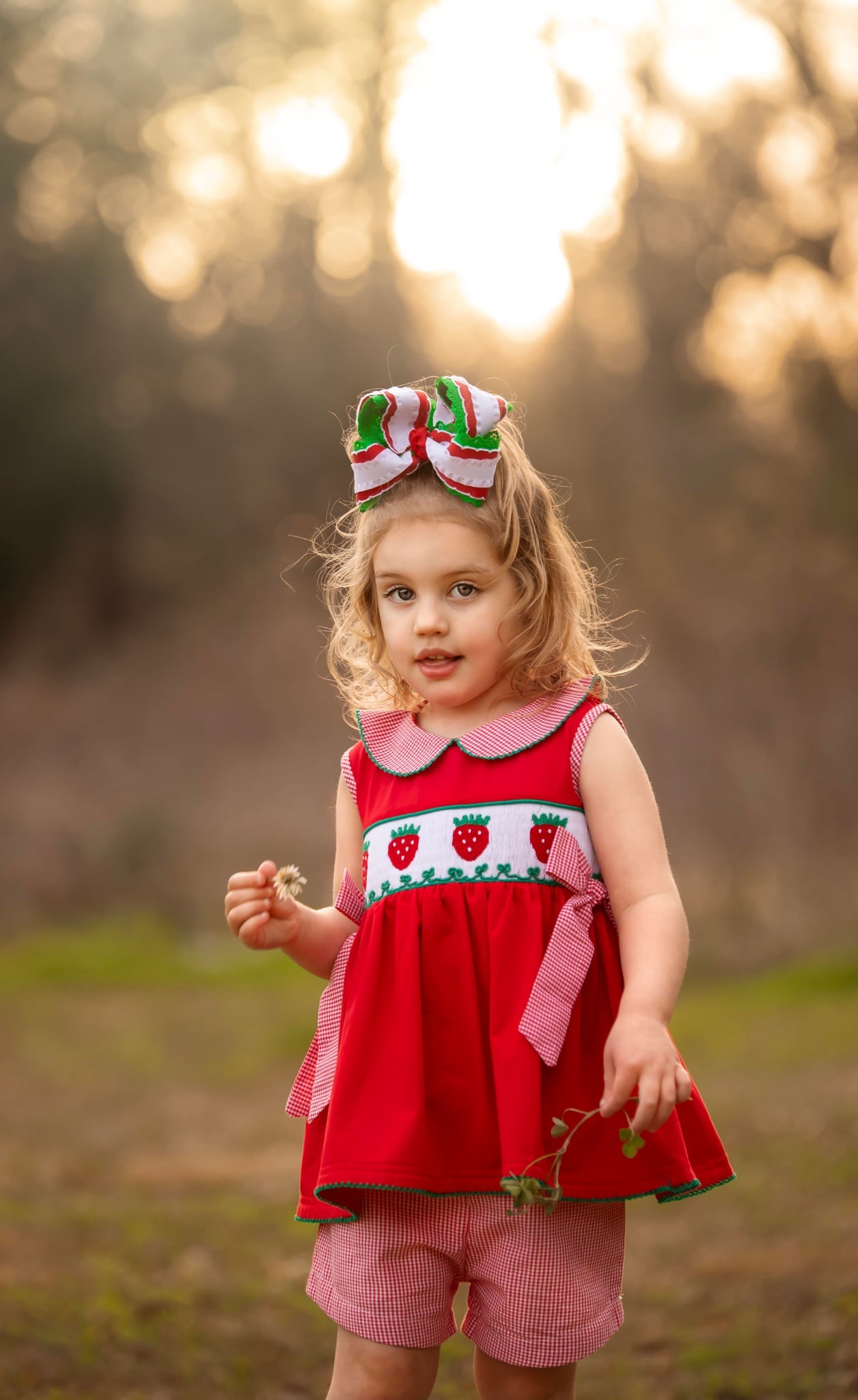 Girls Smocked Strawberry Short Set