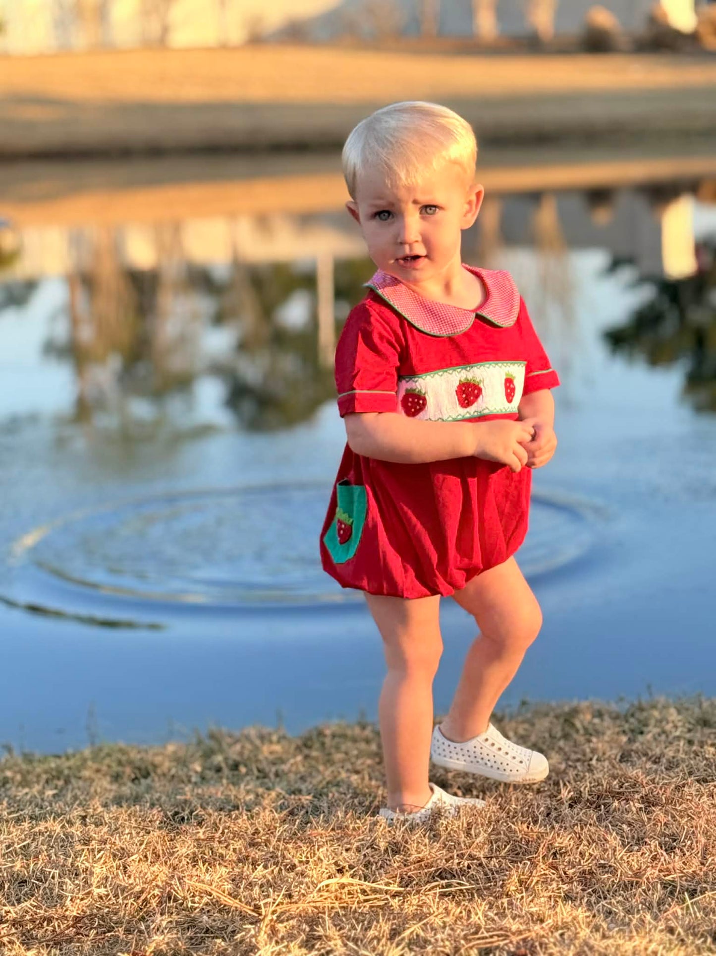 Boys Smocked Strawberry Bubble