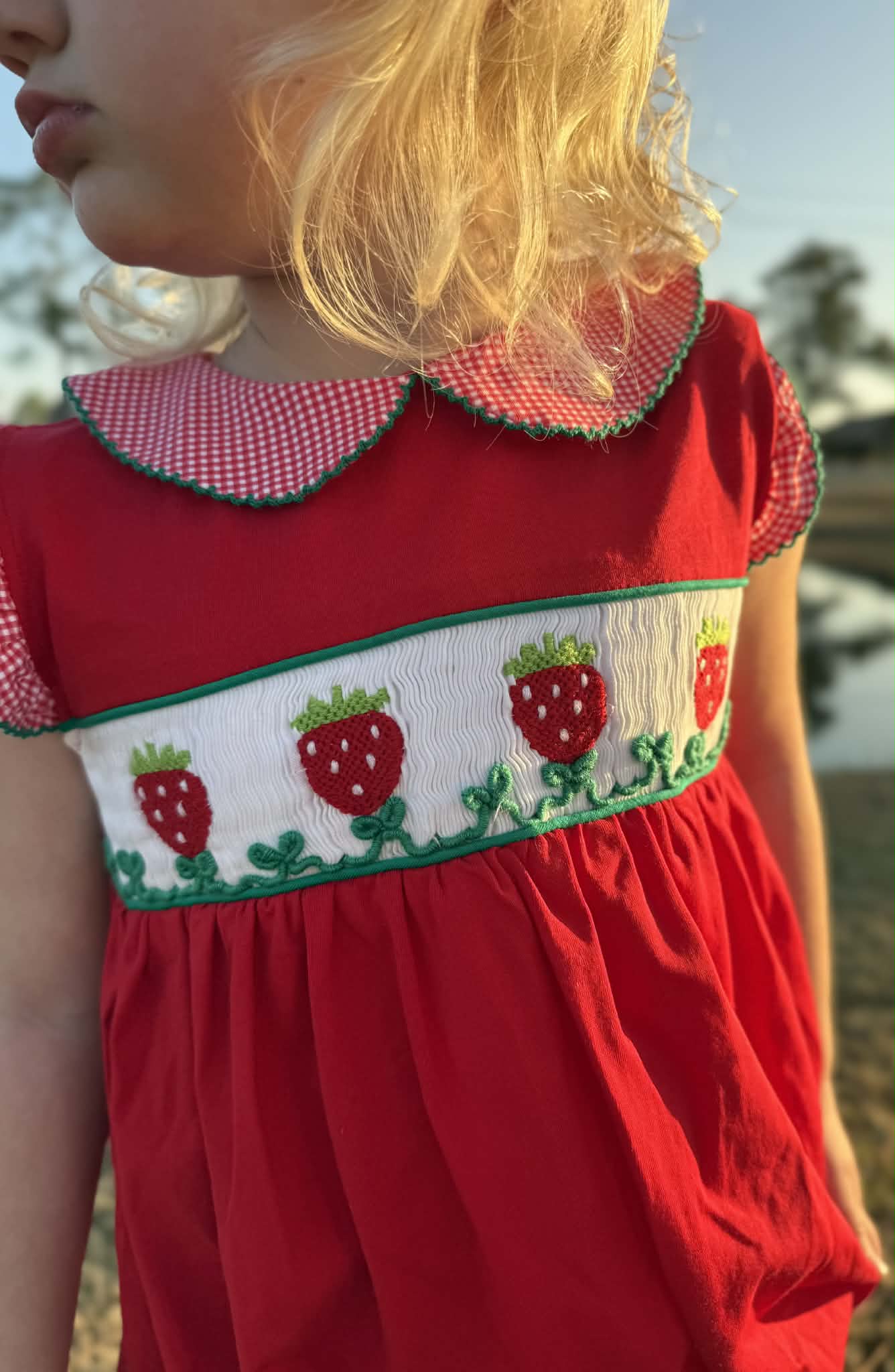 Girls Smocked Strawberry Bubble