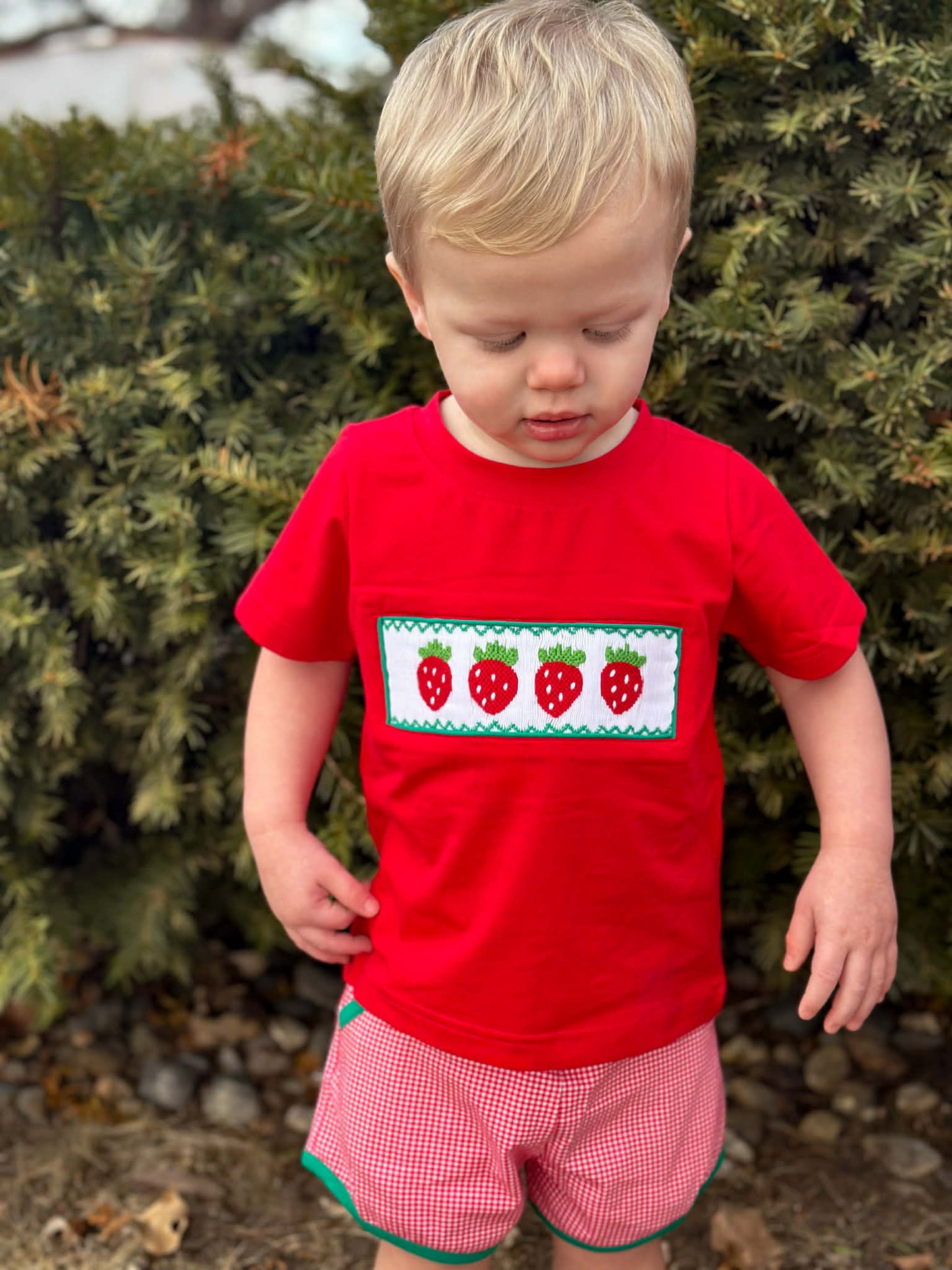 Boys Smocked Strawberry Short Set