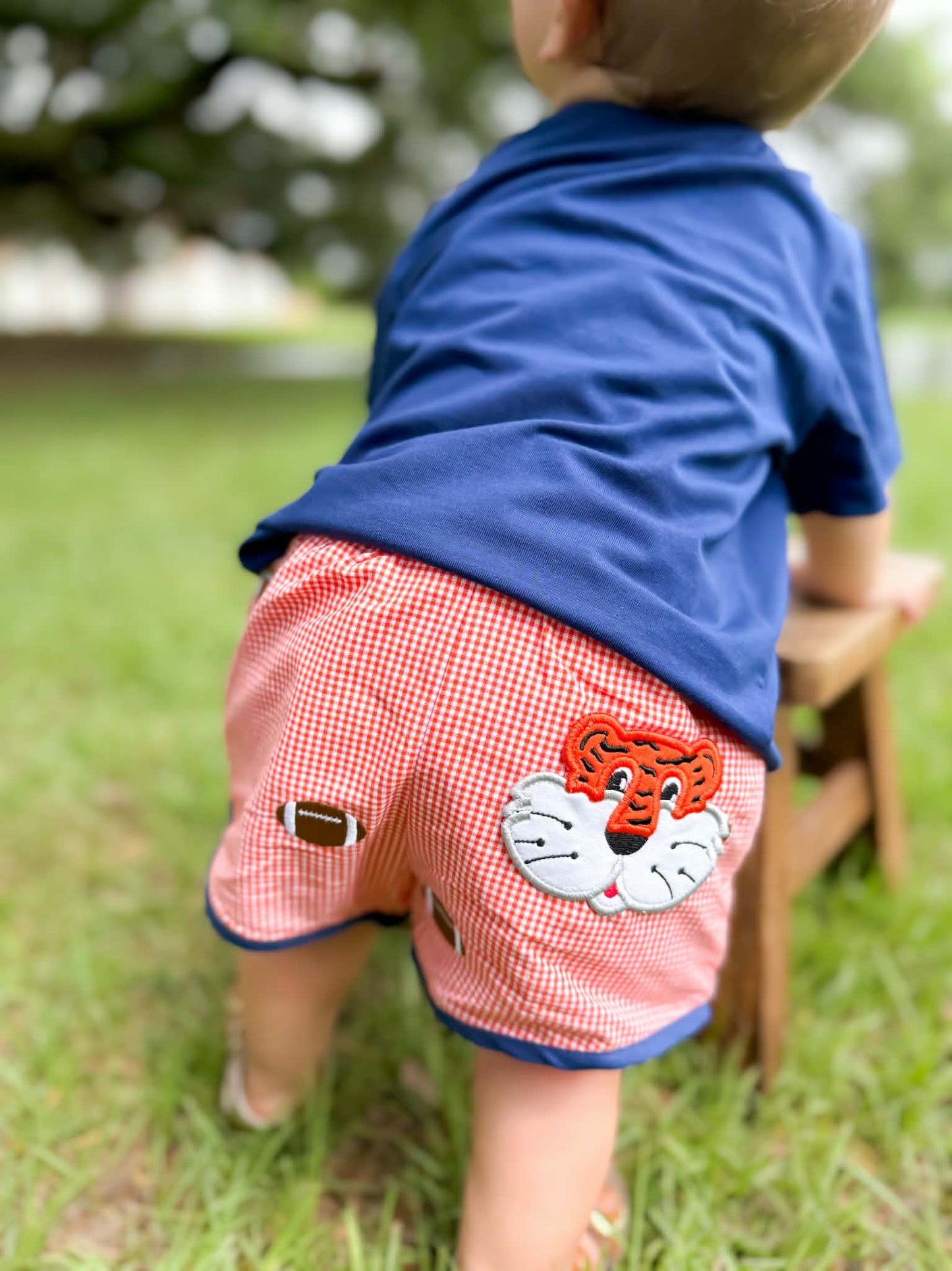 Boys Smocked Tiger Short Set