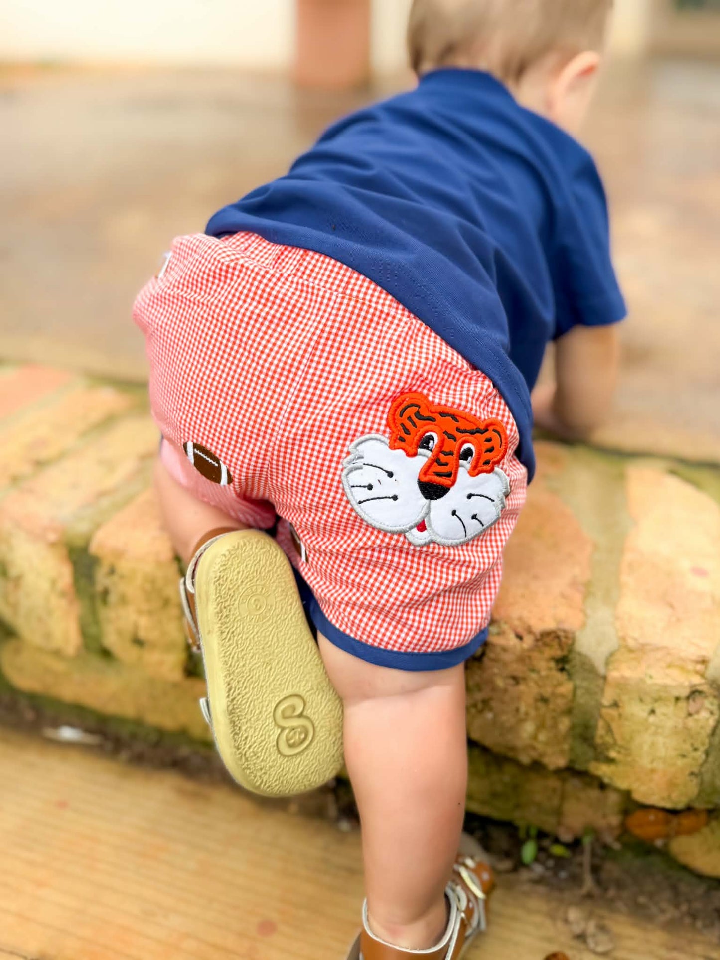 Boys Smocked Tiger Short Set
