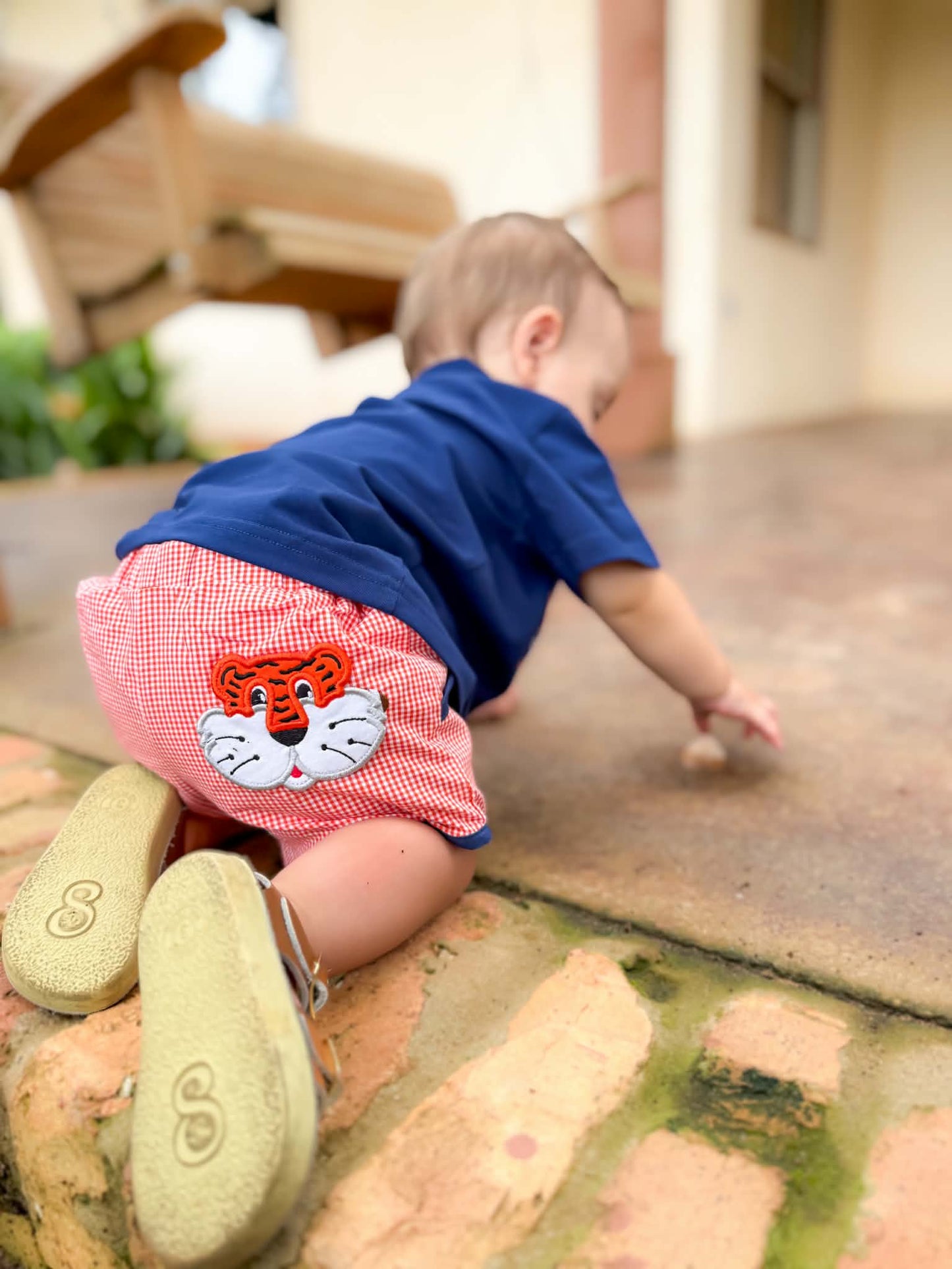 Boys Smocked Tiger Short Set