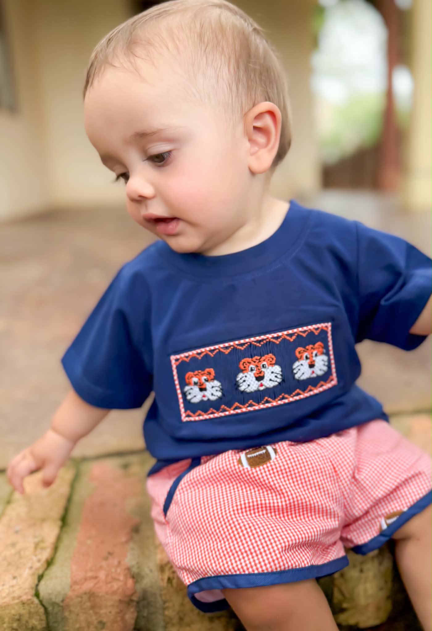 Boys Smocked Tiger Short Set