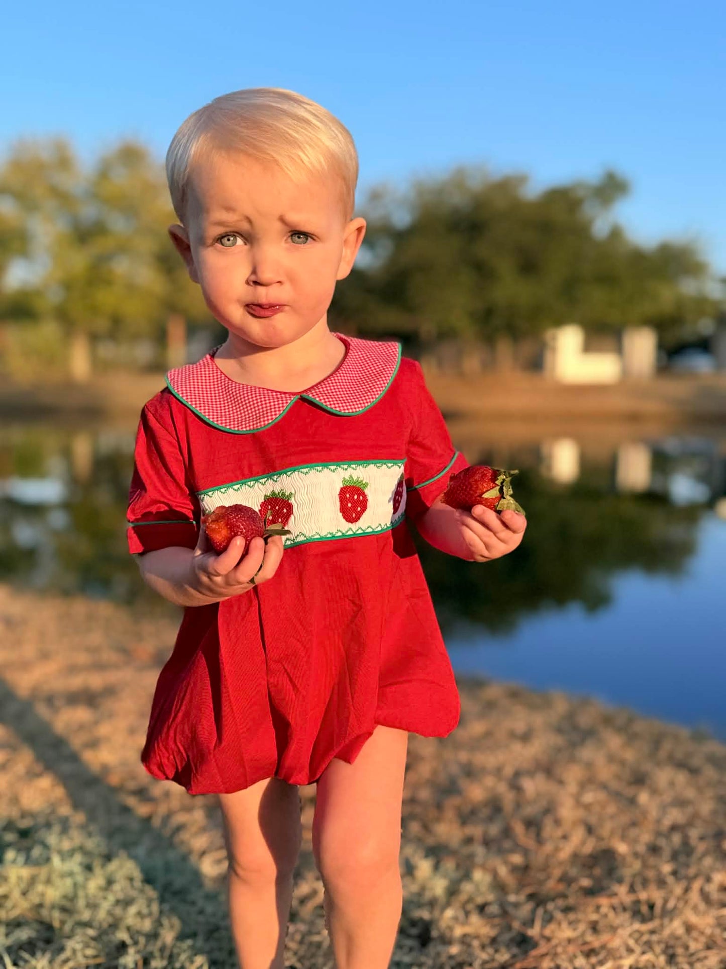 Boys Smocked Strawberry Bubble