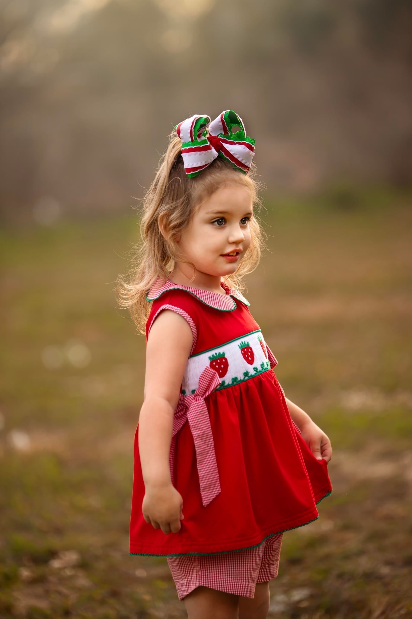 Girls Smocked Strawberry Short Set