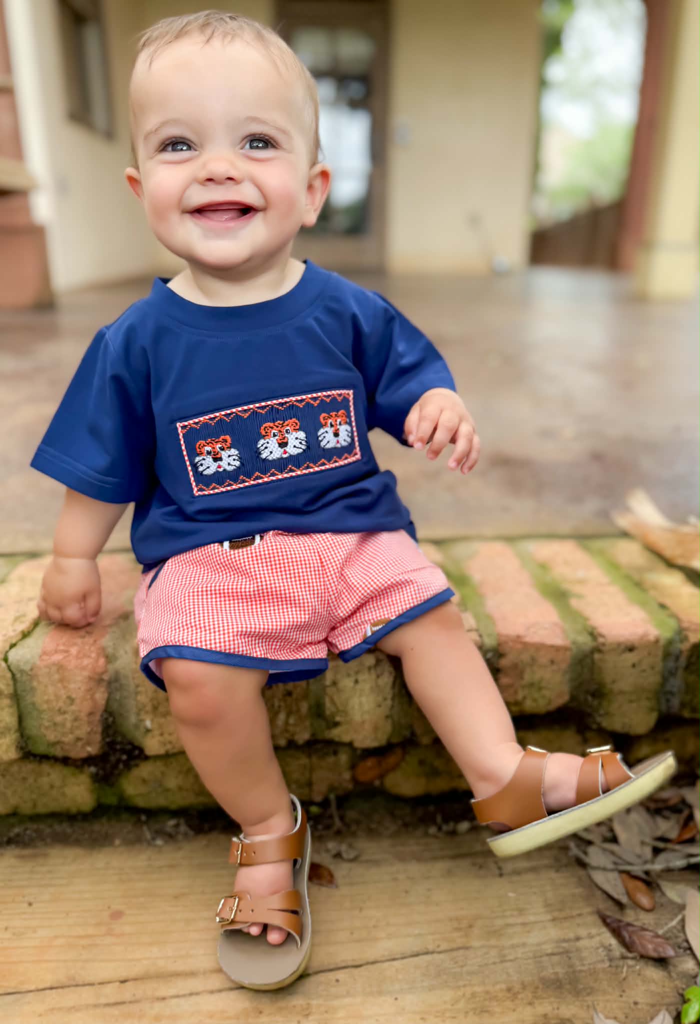 Boys Smocked Tiger Short Set