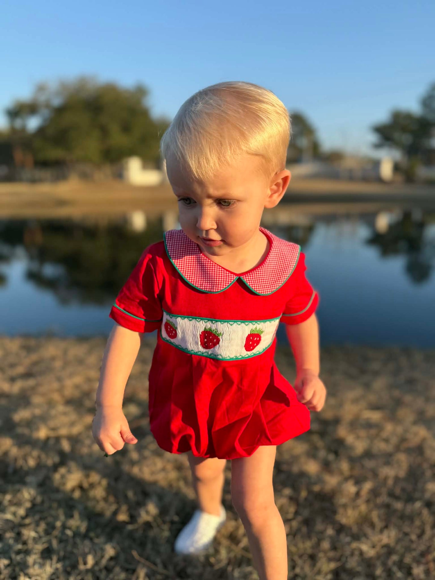 Boys Smocked Strawberry Bubble