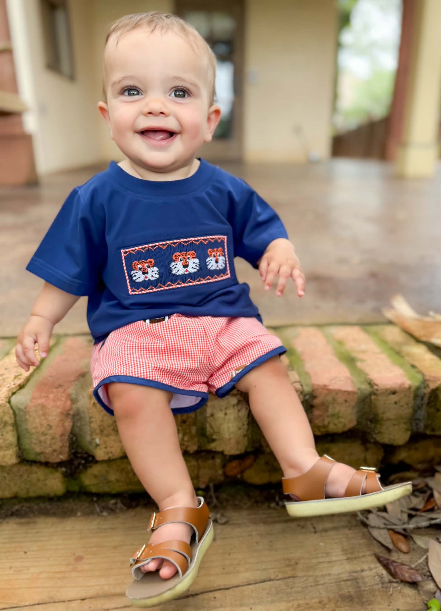 Boys Smocked Tiger Short Set