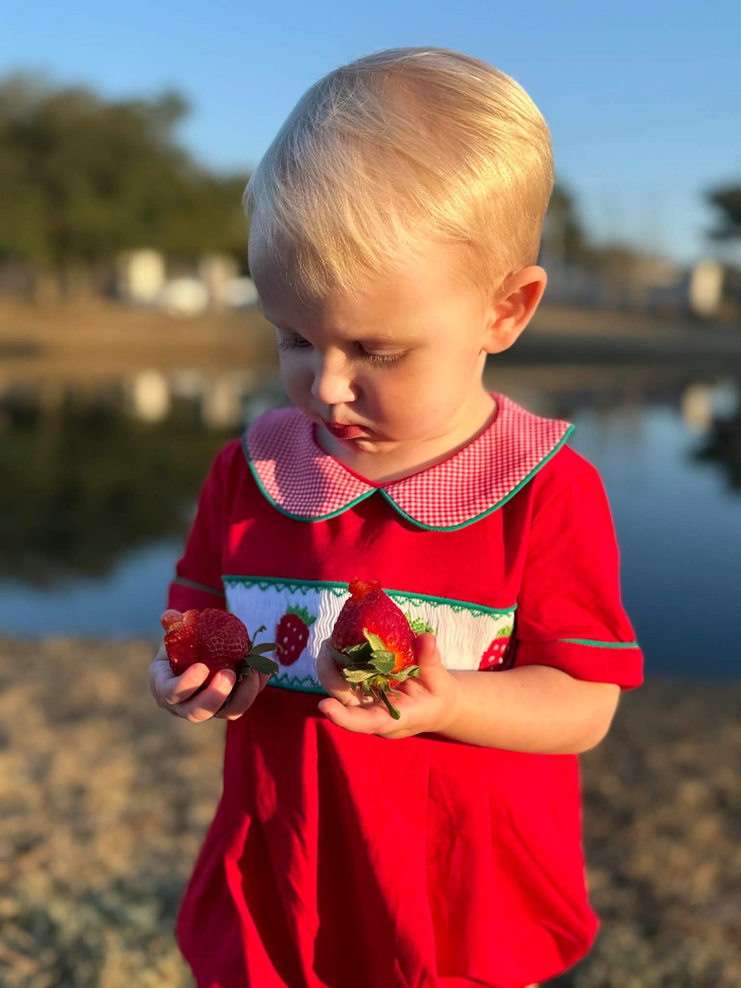 Boys Smocked Strawberry Bubble
