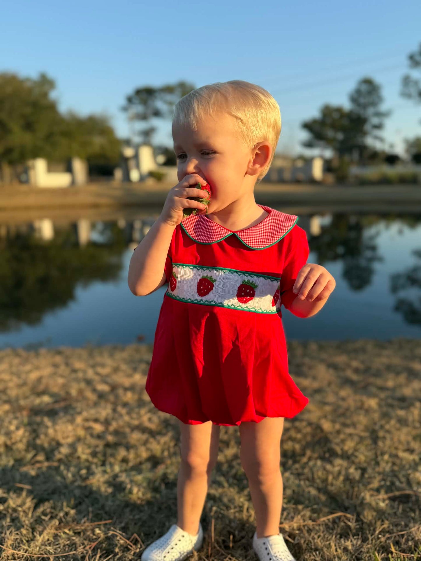 Boys Smocked Strawberry Bubble