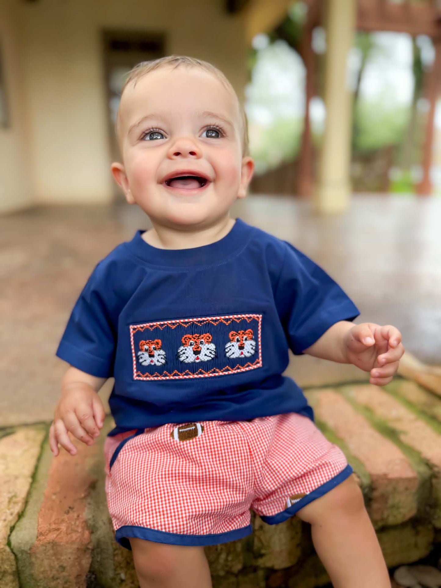 Boys Smocked Tiger Short Set
